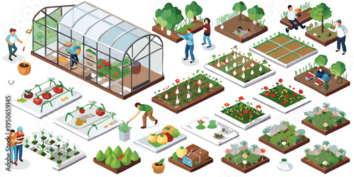 Isometric illustration depicting a thriving community garden and greenhouse scene