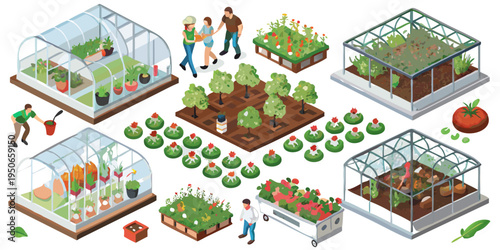 Isometric illustration depicting organic farming with greenhouses and garden elements