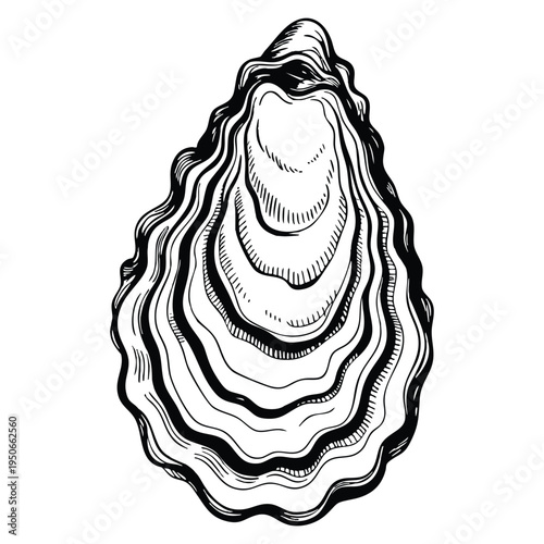 Oyster shell ink sketch isolated on white background hand drawn vector illustration in retro style marine design