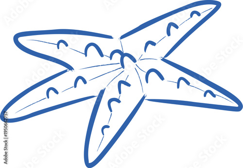 Starfish Hand Drawn Sketch
