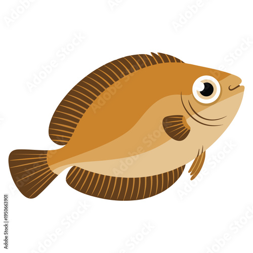 Sea fish flatfish created as vector illustration, perfect for marine biology themes, ocean wildlife graphics and seafood related design projects
