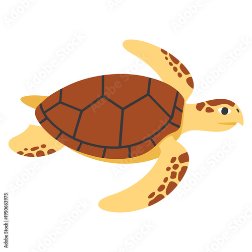 Sea turtle biology icon illustration design element suitable for marine life education ocean wildlife research themes and aquatic conservation related creative projects