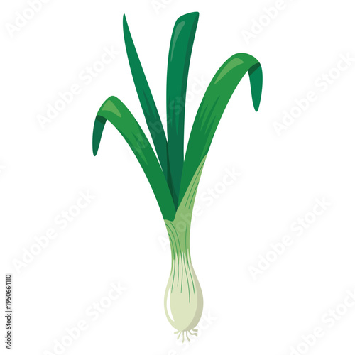 Set of onion and leaf stock symbol for web with onion and vegetables logo vector illustration suitable for farm organic market and healthy food concepts