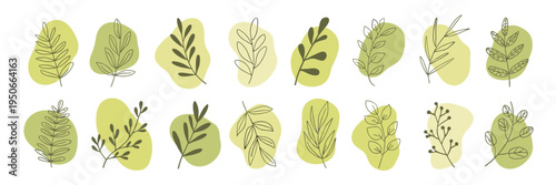 Hand Drawn Botanical Elements with Abstract Shapes Keywords: botanical, leaves, branches