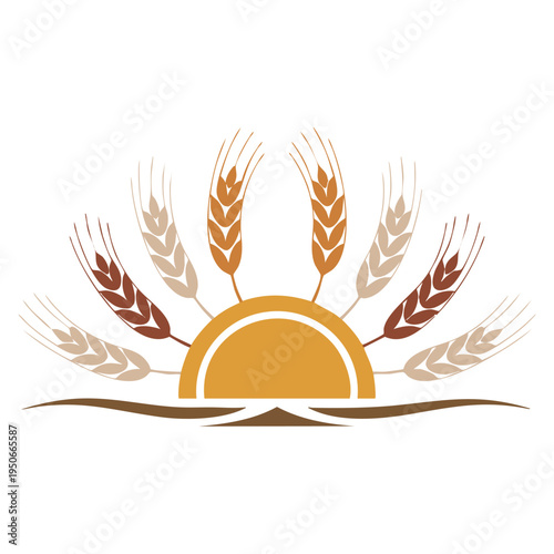 Stylized semi circular sun with wavy flowing rays earthy tones and delicate wheat stalks vector illustration evoking bohemian natural aesthetic theme