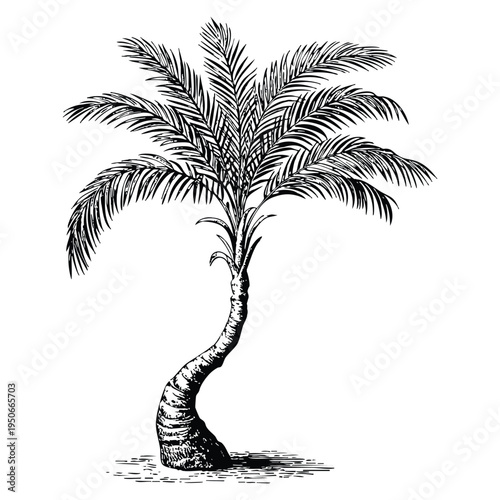 Summer rest single icon palm beach tree in black style bitmap raster symbol stock illustration perfect for tropical vacation travel and leisure design