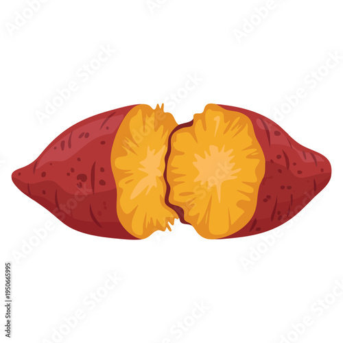 Sweet potatoes vegetable illustration perfect for organic food packaging nutrition education farming promotion and fresh produce themed artwork