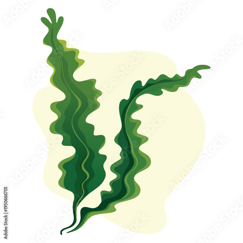 Underwater seaweed spirulina aquatic seaweed vector illustration detailed marine plant design for ocean and health themes