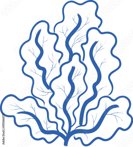 Seaweed Botanical Linework