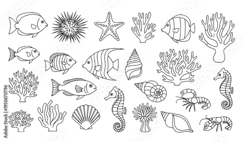 A collection of ocean creatures and coral reef elements in a line art vector graphic design