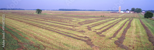 Photography 63801-049.04 Raked hay field  Marion Co   IL