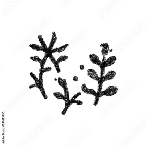Sketch phytoplankton icon design