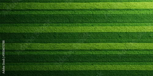 A fresh green grass texture captures a lush nature background, perfect for a garden lawn or sport turf field pattern in a summer park environment