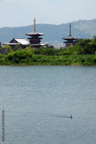 薬師寺　大池からの遠望　奈良市西ノ京町