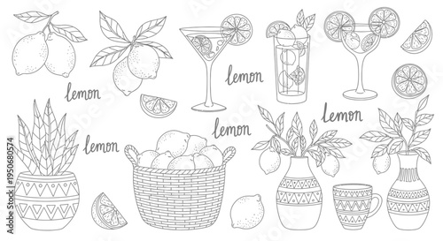 a collection of hand-drawn lemon illustrations featuring whole fruit refreshing lemonades and decorative elements in line art.