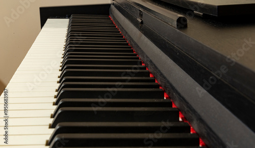 Wallpaper Mural Close-up of black and white piano keys on a grand piano keyboard Torontodigital.ca