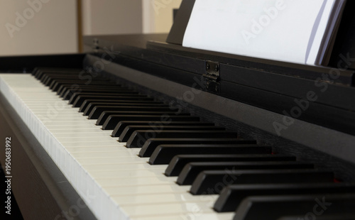 Wallpaper Mural Close-up of black and white piano keys on a grand piano keyboard Torontodigital.ca
