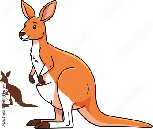  kangaroo vector design 