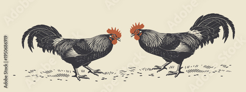 Two roosters with orange combs and dark patterned feathers