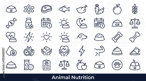 Domestic animal nutrition symbols and feeding routine elements associated with maintaining healthy diets for pets represented as