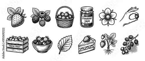 Hand drawn berry illustration set featuring strawberry, raspberry, jam, cake, basket, crate, and flower in a detailed black and white vintage engraving sketch style for design elements