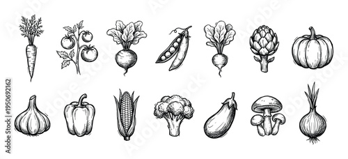 Hand-drawn collection of various fresh vegetables in a vintage black and white sketch style, including carrot, tomato, pumpkin, corn, pepper, broccoli, and mushroom