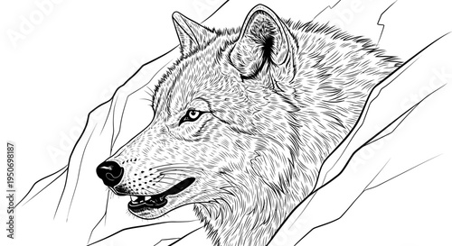 Detailed illustration of a gray wolf profile with rocky background