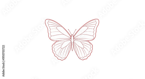 Red line art butterfly on white background