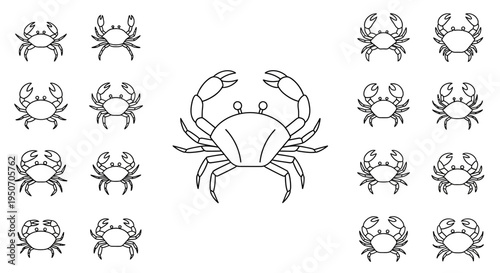 Group of Crabs Side View Illustration.