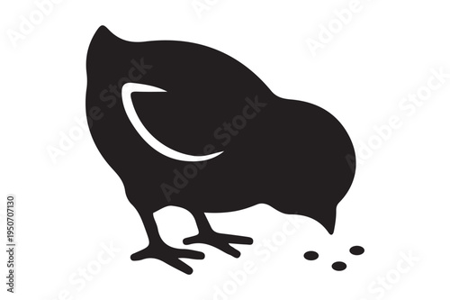 Baby chick eating food silhouette vector illustration
