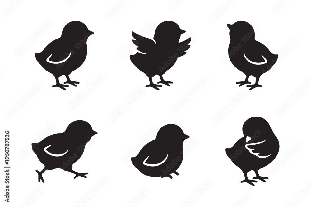 Fototapeta premium Set of baby chick silhouette vector icons in different poses isolated on light background. 