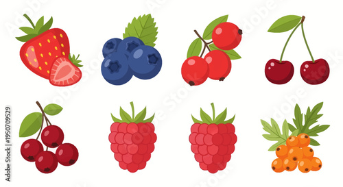 Collection of flat vector illustrations featuring fresh berries including whole and sliced strawberry, blueberries, cranberries, cherries, raspberries, and sea buckthorn berries.