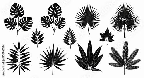 Set of black and white tropical leaf silhouettes including monstera deliciosa, fan palm fronds, areca palm branches, and jungle foliage isolated on a plain white background.