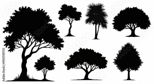 Collection of black tree silhouettes including palm, oak, and deciduous species isolated on a white background for landscape design, nature graphics, and environmental illustrations.