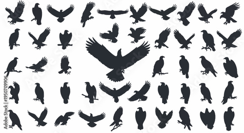 Large collection of eagle silhouettes featuring various poses including flying with wings spread, soaring, perched on branches, and landing. Black bird of prey vector icons isolated on white.