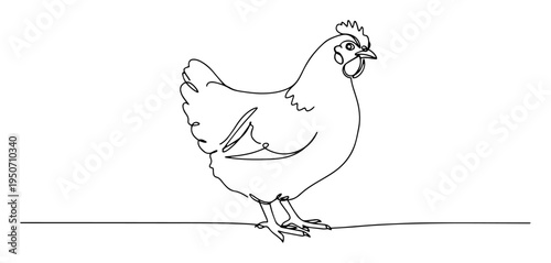 hen line art drawing in side view