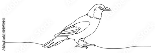 crow line art perched on ground