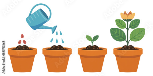 A vector graphic illustration of a plant growth process from seed to flower in a pot on transparent background
