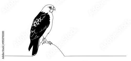 eagle line drawing on rock perch