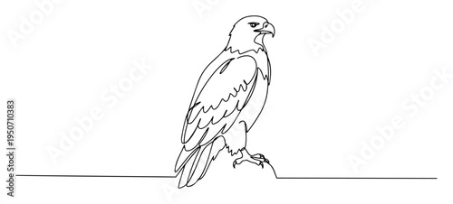 eagle line art in side view pose