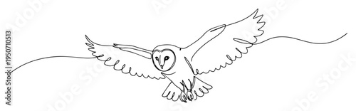 barn owl flying with wings spread line drawing