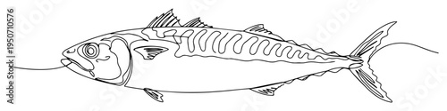 fish skeleton line art with realistic form