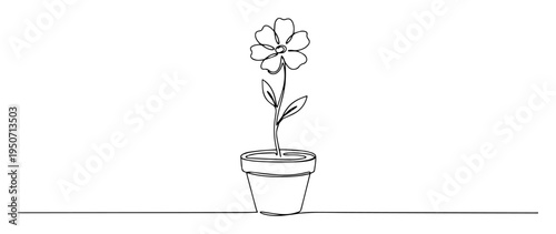 potted flower plant line illustration