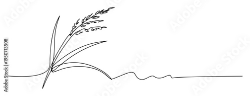 grain crop plant line illustration