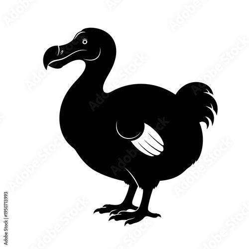 Silhouette of a Dodo Bird, a flightless extinct bird, on white background.