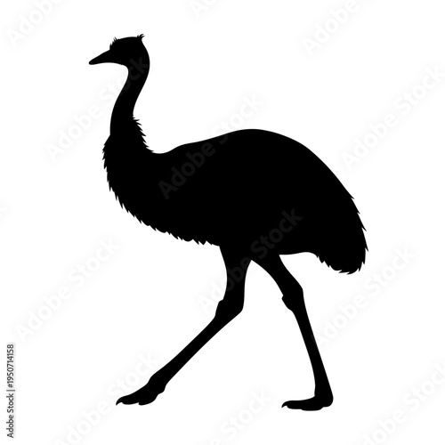 Silhouette of a walking emu bird isolated on a white background.