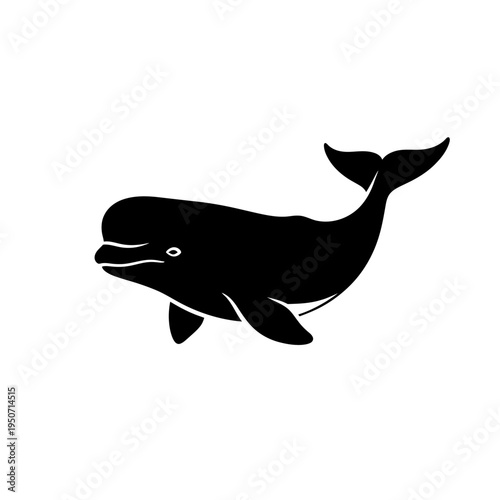 Black and white illustration of a beluga whale swimming gracefully in the ocean.