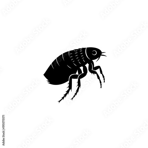 Black and white illustration of a flea insect isolated on white background.