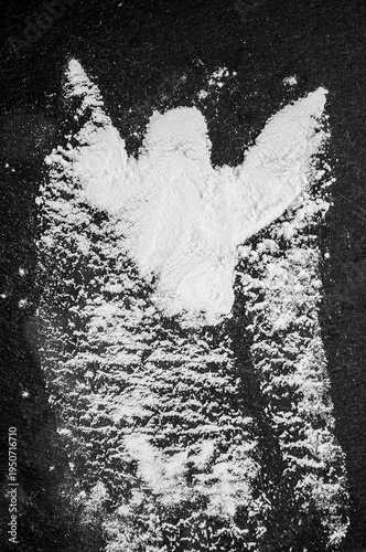 White powder spread on a black surface in a shape that resembles a bird