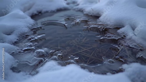 Close up of melting ice and snow in winter nature.